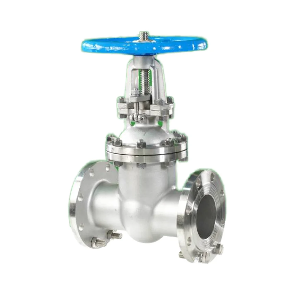 DN80 PN16 industrial carbon steel rising stem water flange gate valve with pipe fittings