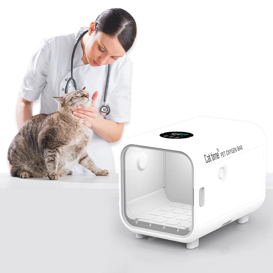 Manufacturer veterinary Equipment Mini ICU Pet Dog Care oxygen chamber for Pet Clinic