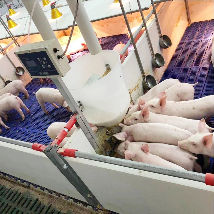 Wholesale Activity High Quality Floor Machine Mold Sheep Plastic Slatted Poultry Flooring System Plastic Slat