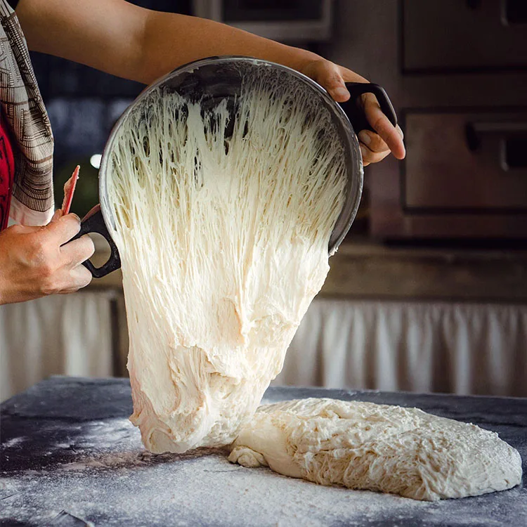 OEM Halal Food Bakers Cake Active Instant Dry Yeast Powder 500g 450g Low Suger Production Factories in China for Swelling Bread