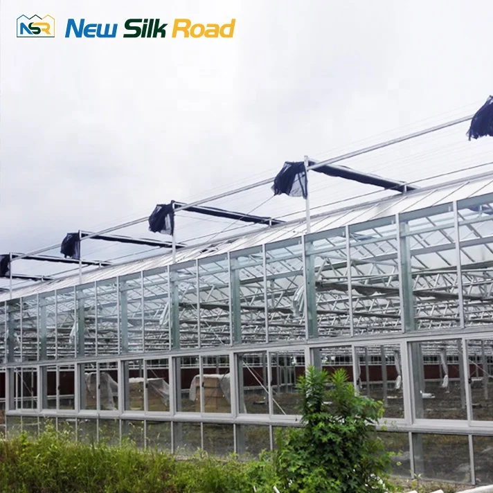 steel and glass houses solar greenhouse 4 layer polycarbonate agriculture outdoor green houses greenhouse for agro