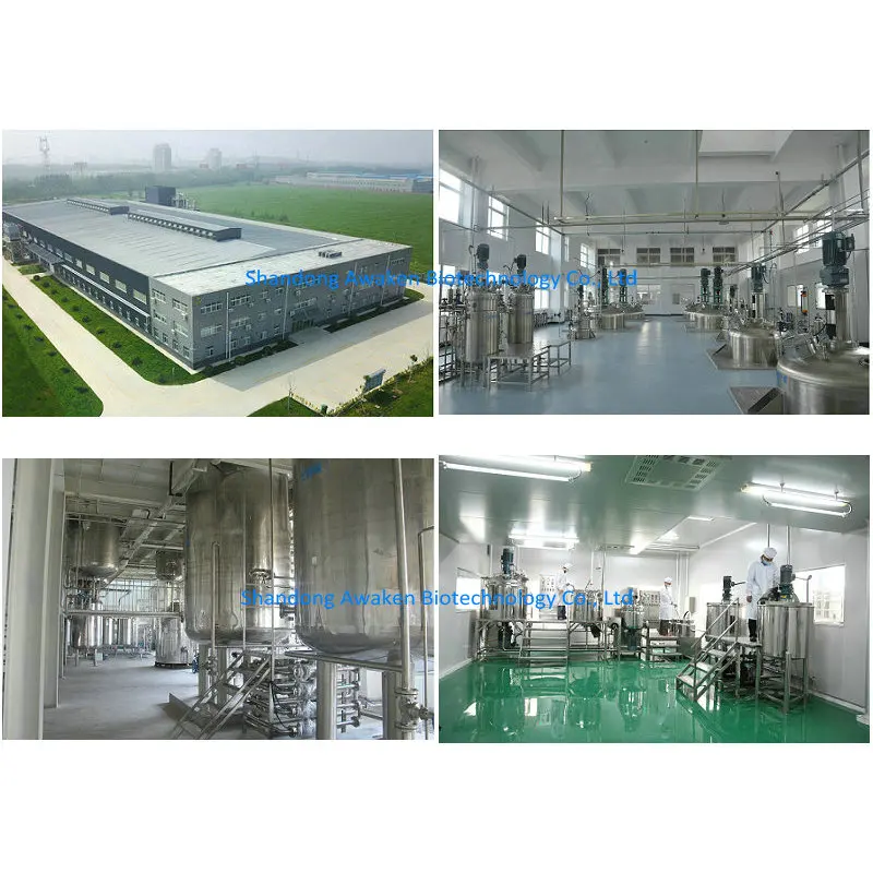 Vegetable Origin Food Thickening Agent Pullulan Powder CAS 9057-02-7