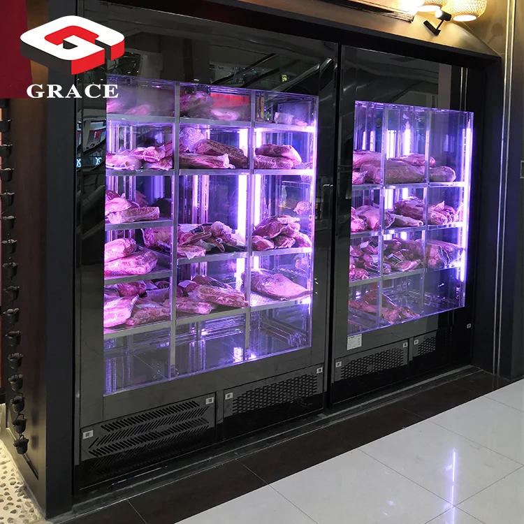 Meat Age Machine Small Beef Steak Dry Ager Fridge Home Cabinet Dry Aging Refrigerator