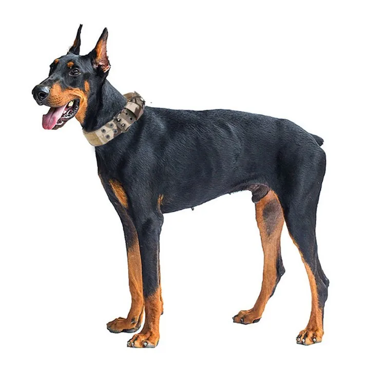 2023 Manufacturers Wholesale Custom Personalized Adjustable Heavy Duty Weight Sports No Pull Tactical Dog Collar