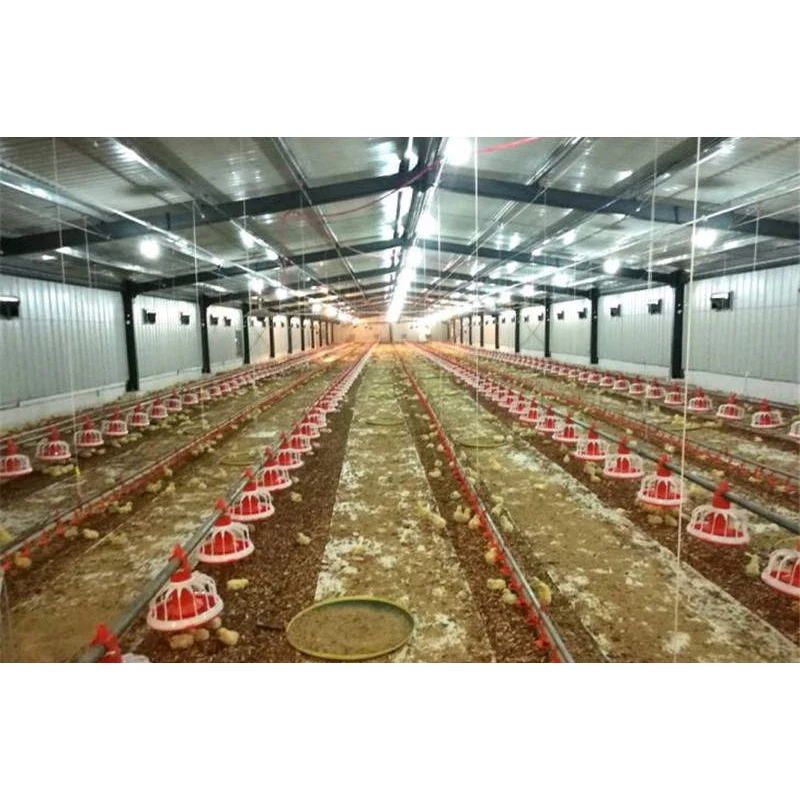metal frame poultry house building steel structure chicken farm construction