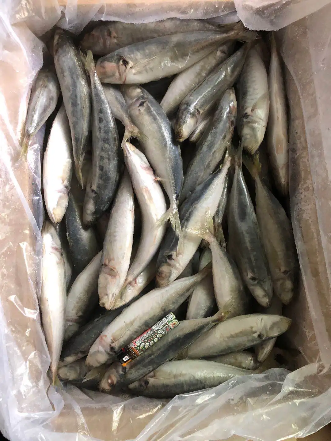 Замороженная круглая скумбрия, тайский рынок