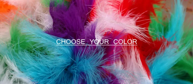 CHOOSE YOUR COLOR.png
