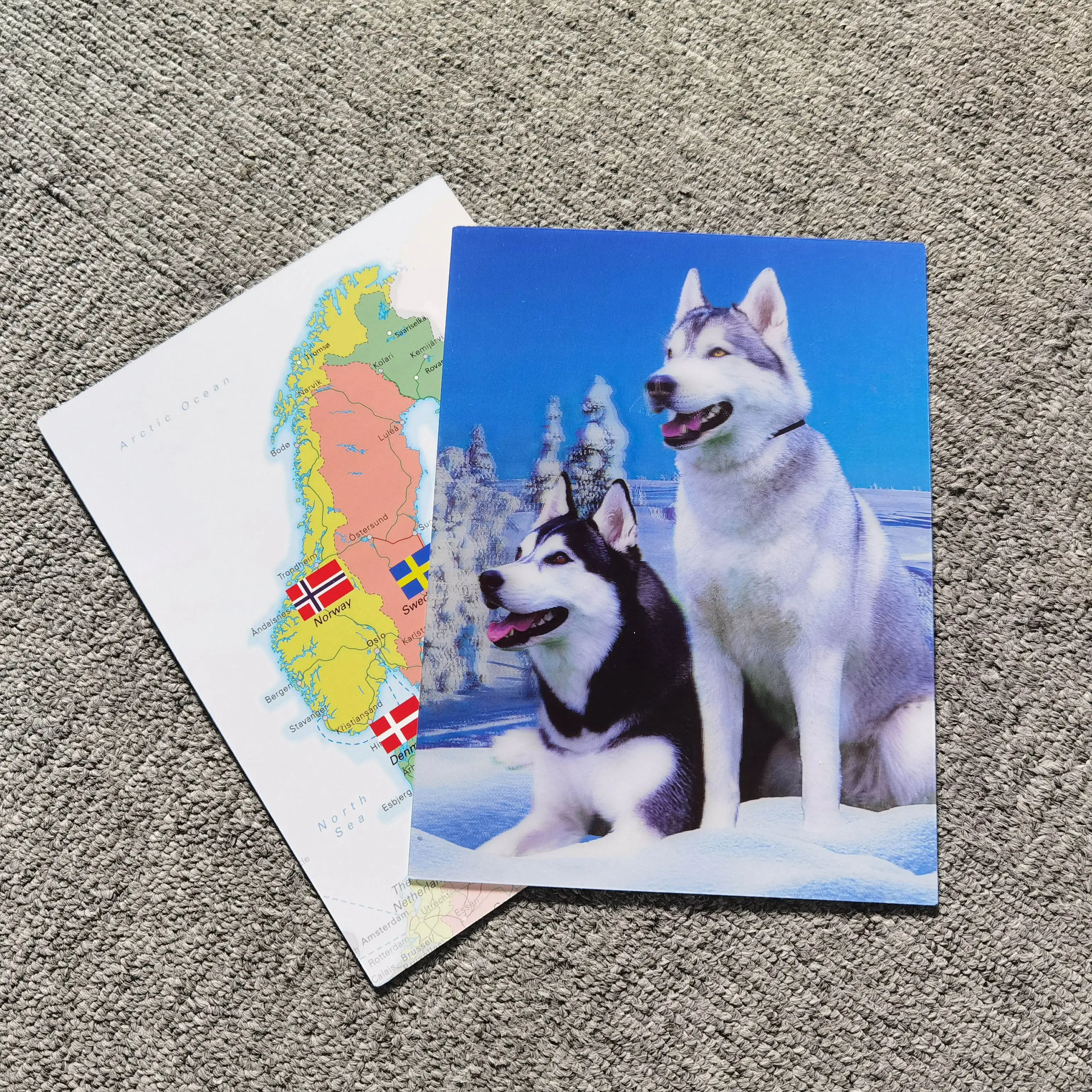 Cute animals 3D lenticular cards custom trading cards for giveaway