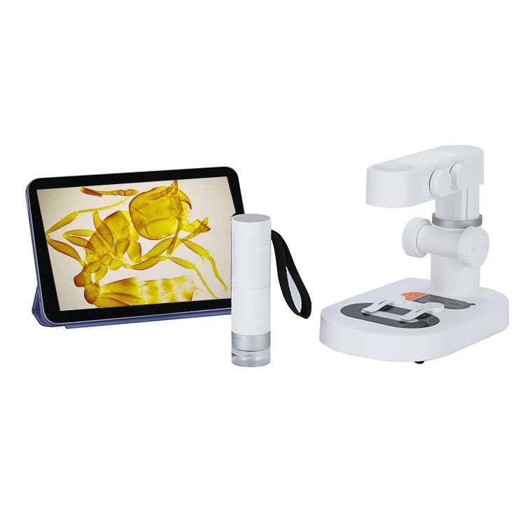 Professional Cheap price digital handheld toy portable mini child microscope for kids