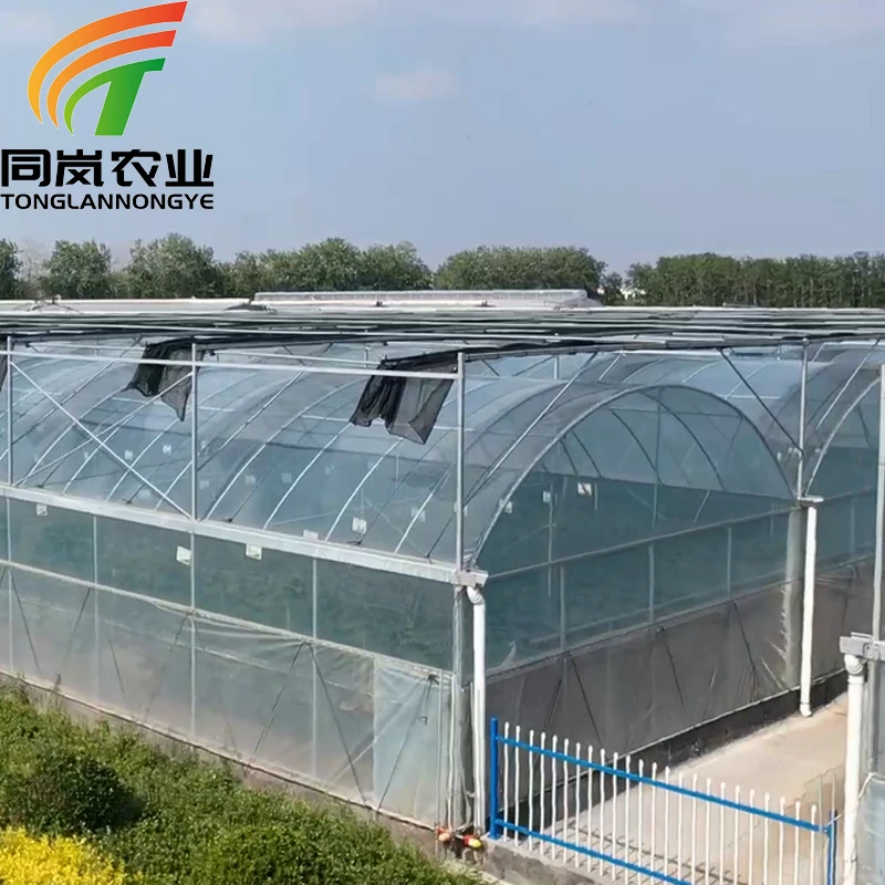 Factory Direct Supply Plastic Sheet Foil Cover Greenhouses Tent With System Technology For Indoor or Outdoor