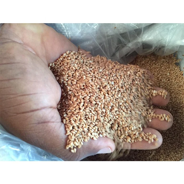 Sesame seed High quality natural white West Africa non GMO sweet UNHULLED with high oil contain tahini sesame seed for sale