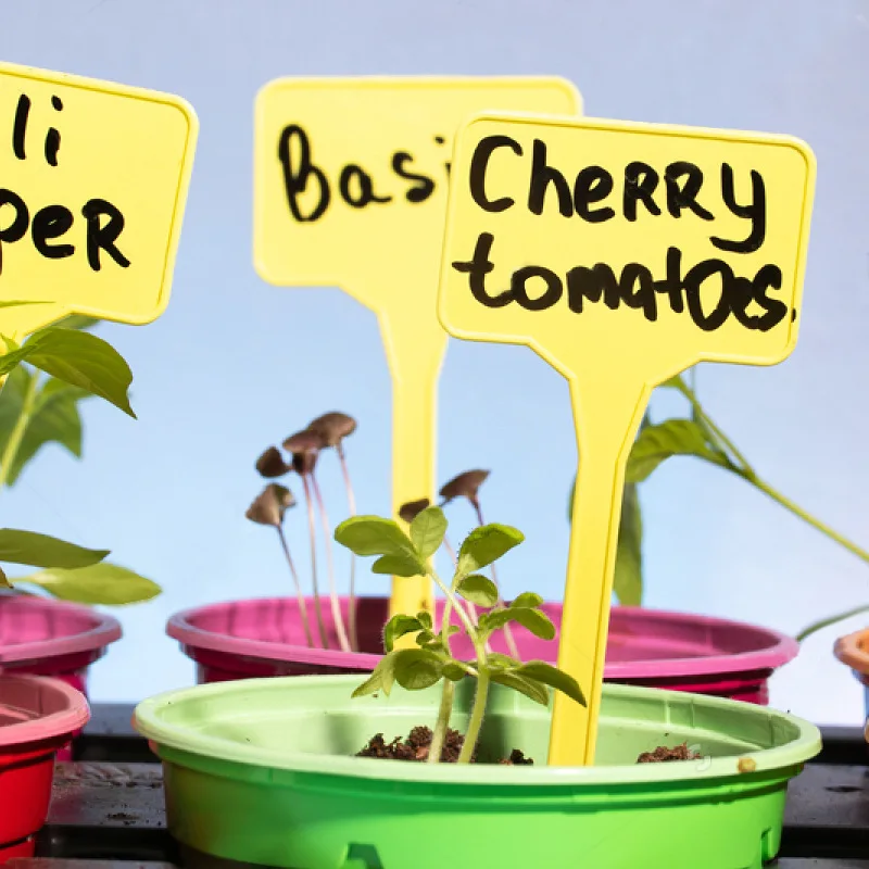 Plastic Plant Labels, Waterproof & Sun-Proof Nursery Garden Tags Re-Usable Plant Tags for Seed Potted Herbs Flowers