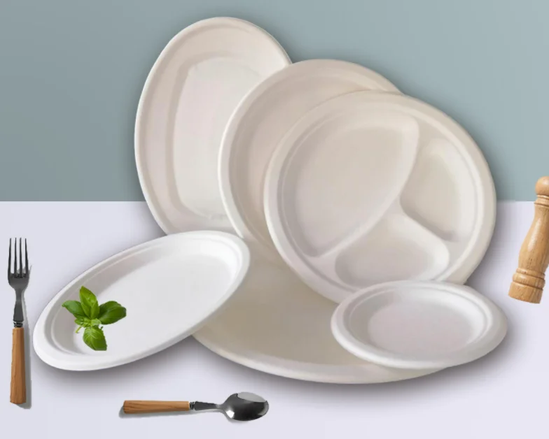 Sustainable eco-friendly biodegradable sustainable sugarcane bagasse pulp round dish paper plate