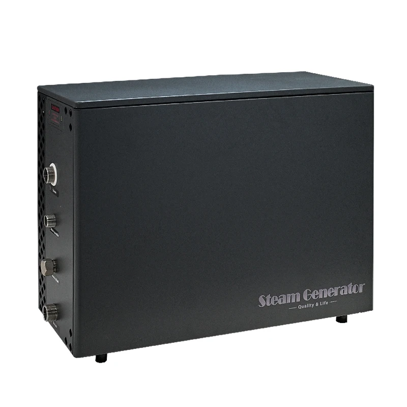 New Item Steam Room Wet Steam Machine Steam Generator