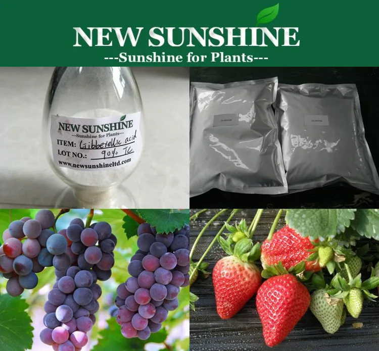 Hot Sale GA3 Gibberellin Gibberellic acid GA3 Plant Growth Regulator