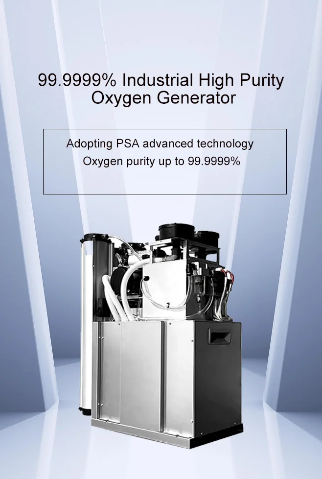 2024 Factory Sale In Domestic Electric Technical Small Air Separator Oxygen Generators for Aquariums Pools