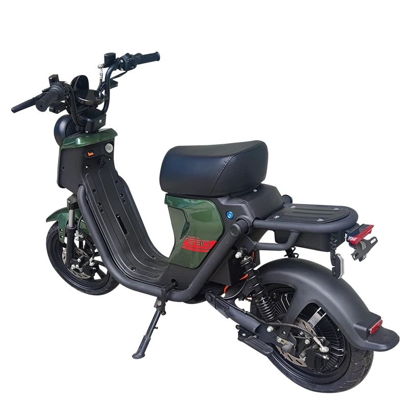 New and Improved Dual-Seated Electric Bike with 17-inch Wheels, Large Seat, and Powerful 800W Motor