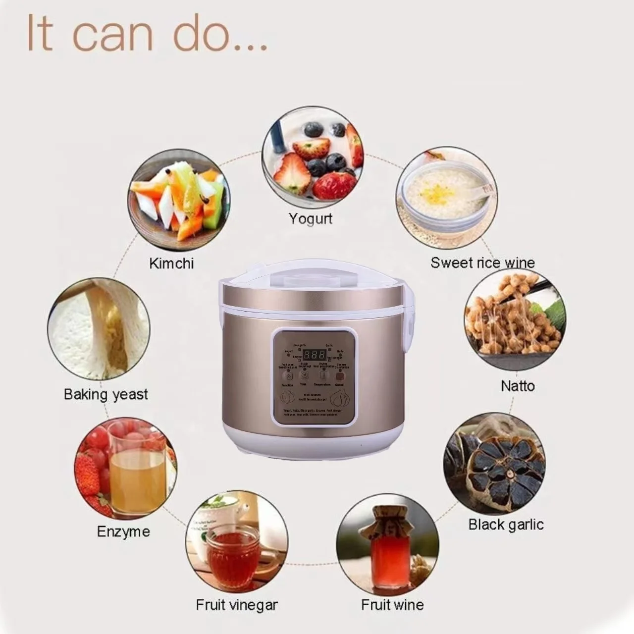 AZK115-1 CE Certificate Yogurt maker 5L Black Garlic Machine ANZHIK Black Garlic Fermenter