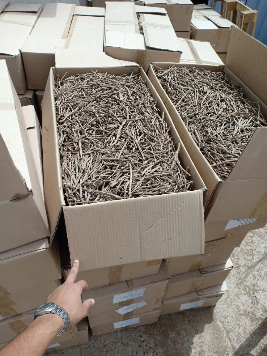 
Yellow Pellitory Roots JUNE 2020 CROP STRONG TASTE 