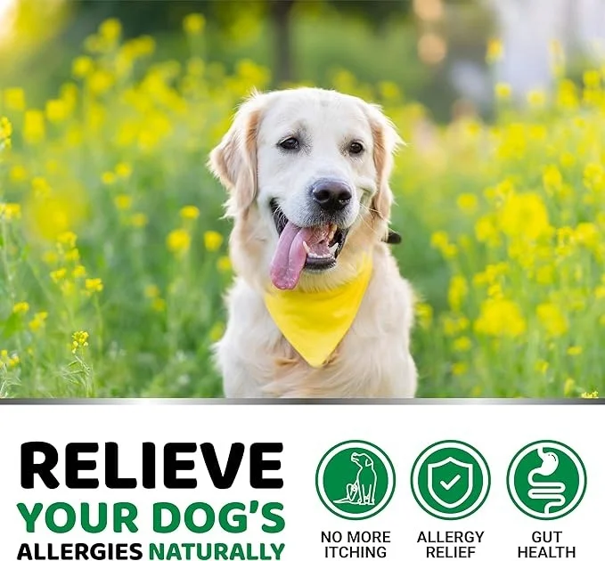 OEM Dog Allergy Relief Chews - Dog Itching Skin Relief Treatment Pills - Itchy and Paw Licking  - Dry Skin & Coat Supplement