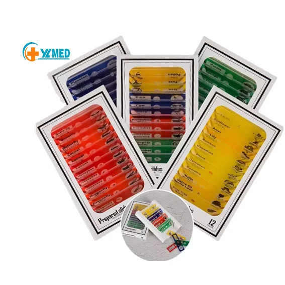 Science Education Medical Biology observation slide Plastic prepared microscope slides for children lab education