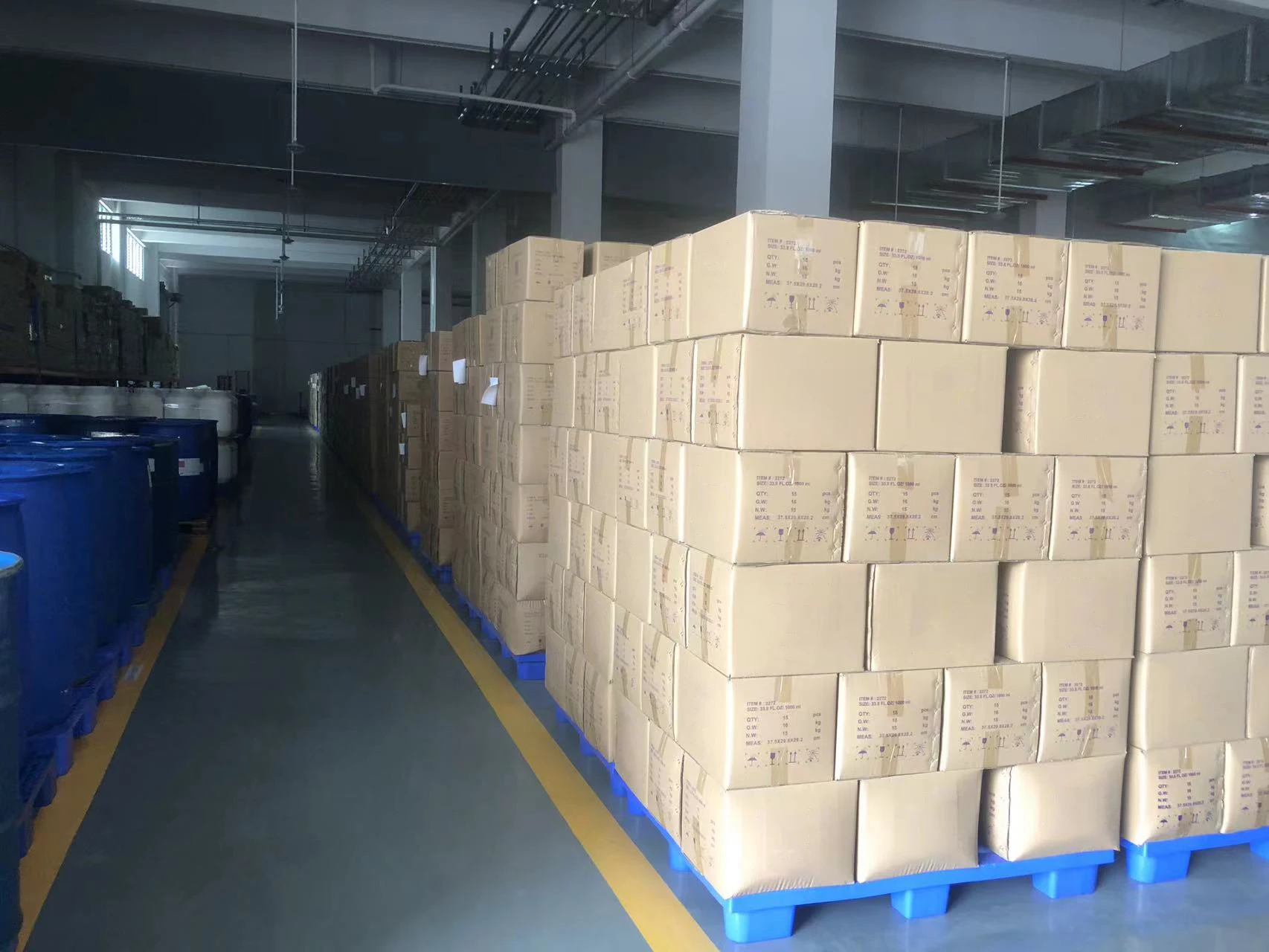 customized professional coconut manufacture herbal collagen anti dandruff ginger kids and conditioner shampoo