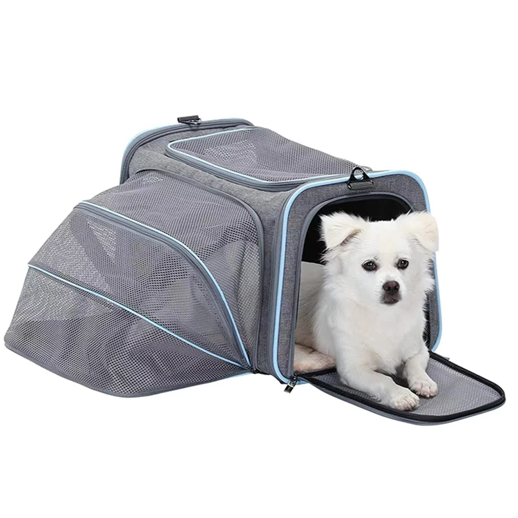 Custom Fashion Airline Approved Luxury Breathable Cat Dog Carry Bag Walking Travel Carry Pet Carrier Bag