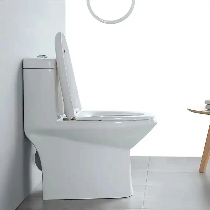 Inodoro High Quality Sanitary Ware Asian Ceramic Wash Down Bathroom One Piece Gravity Flush Toilet Of Wc