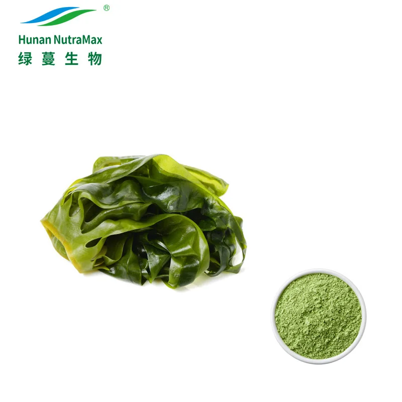 Health Sea Food Seaweed Powder Kelp Powder with Protein 60%