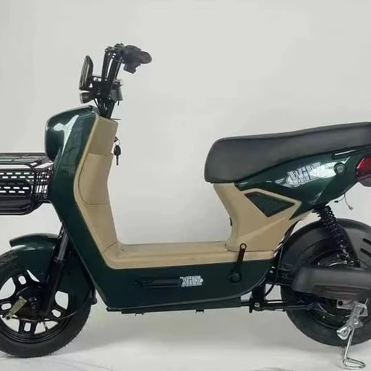 2024 New Urban Leisure 350ww-500w Electric Bicycle 48V 20Ah E Bike with Rear Hub Motor Steel Frame 3-Speed down Tube Battery