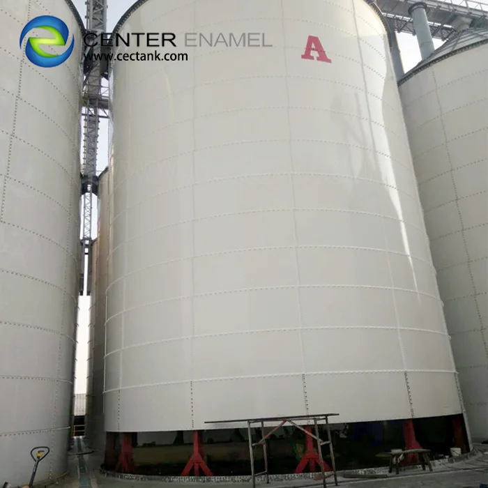 high quality dual membrane Bio Gas Holders for biogas plant