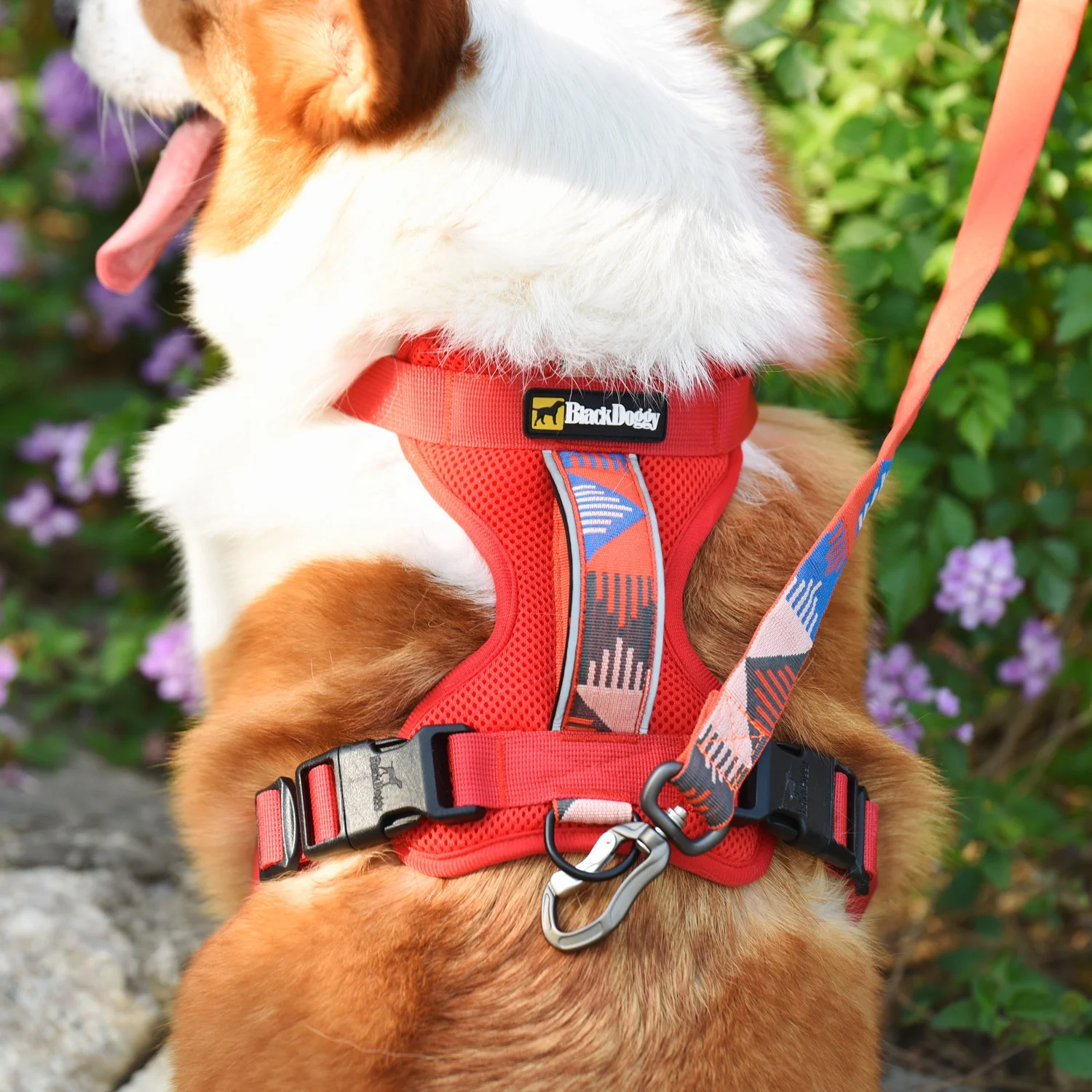 BlackDoggy Mesh Pet Clothes Neoprene Padded Vest Dog Chest Head Harness