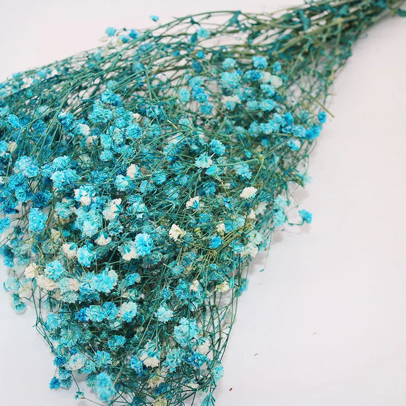  Домашний декор красивый красочный цветок babysbreath gysophila сохраненный гироскопиальный свадебное