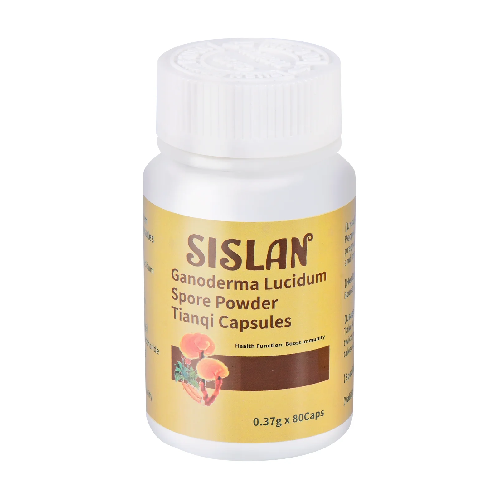 Promotes Digestion Ganoderma Lucidum Spore Powder Tianqi Capsules