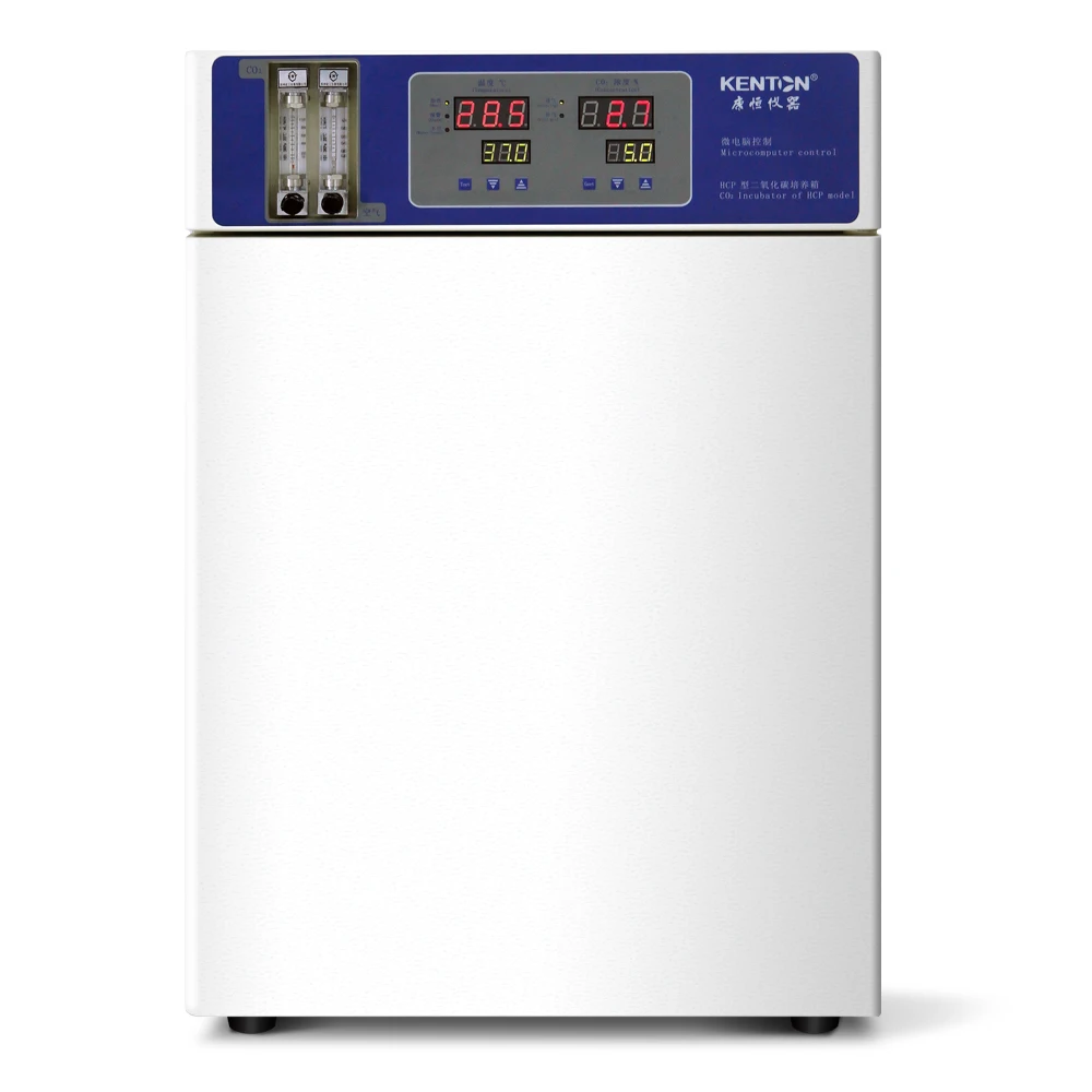 Medical Bacteria Laboratory Electrical CO2 Gas Incubator