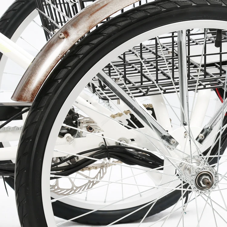 36V250W Electric Tricycles 3 Wheel Electric Tricycle with cargo