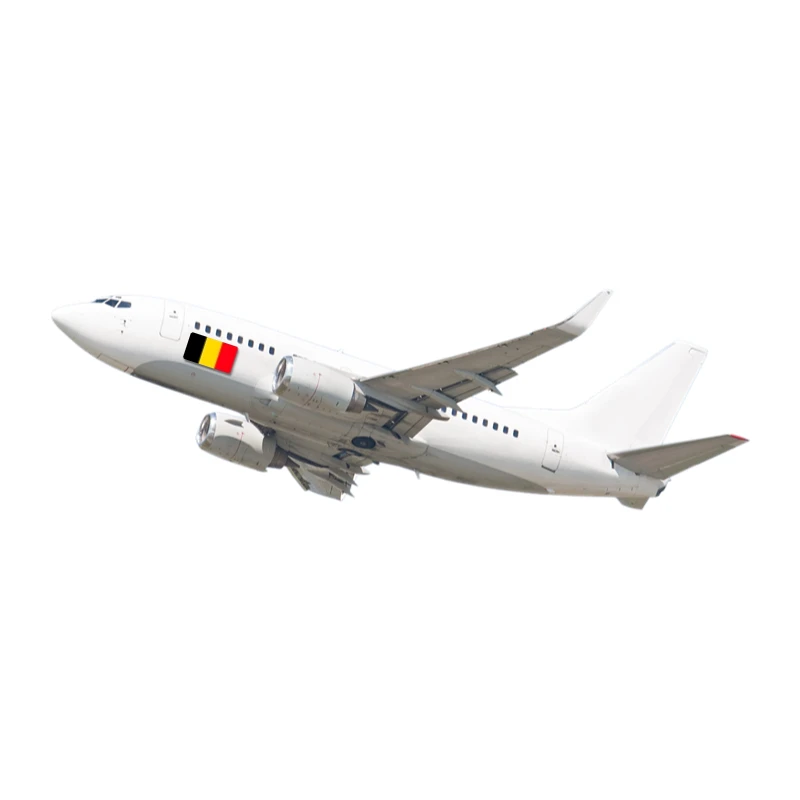 Cheapest Logistics Amazon FBA Sea Air Shipping from China to BE Freight Forwarder China Agent Dropshipping