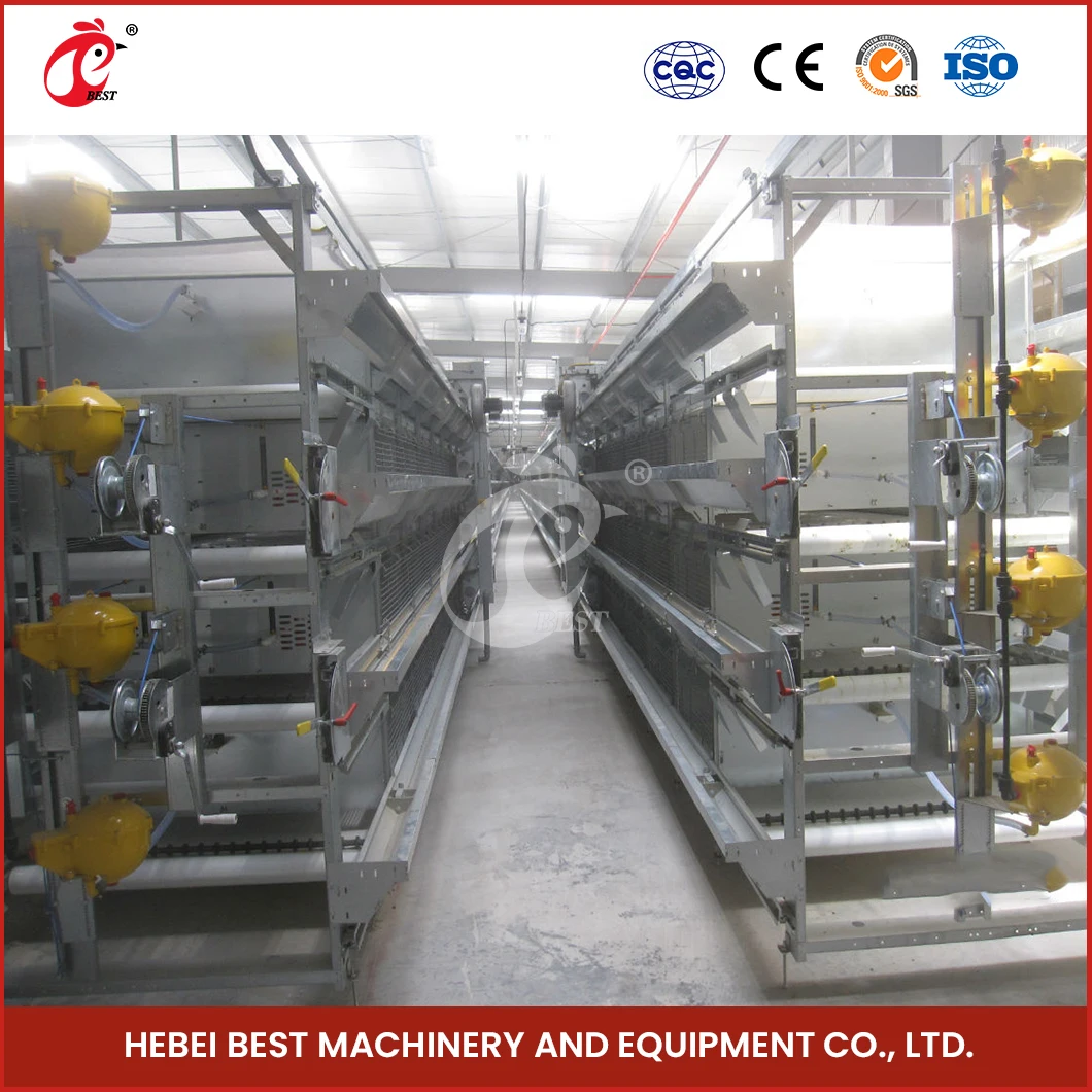 Layer Cage Fabricators China Ordinary Type Laying Coop Sample Available Large Laying Cages For Free Range Chickens