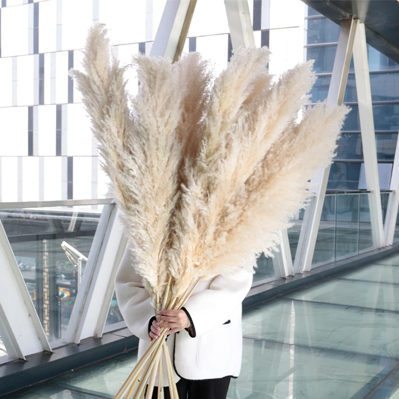 Wholesale High Fluffy Pampas Grass wall christmas tree white/pink Pampas Reed Grass dried flower Wedding Decorations Boho Decor