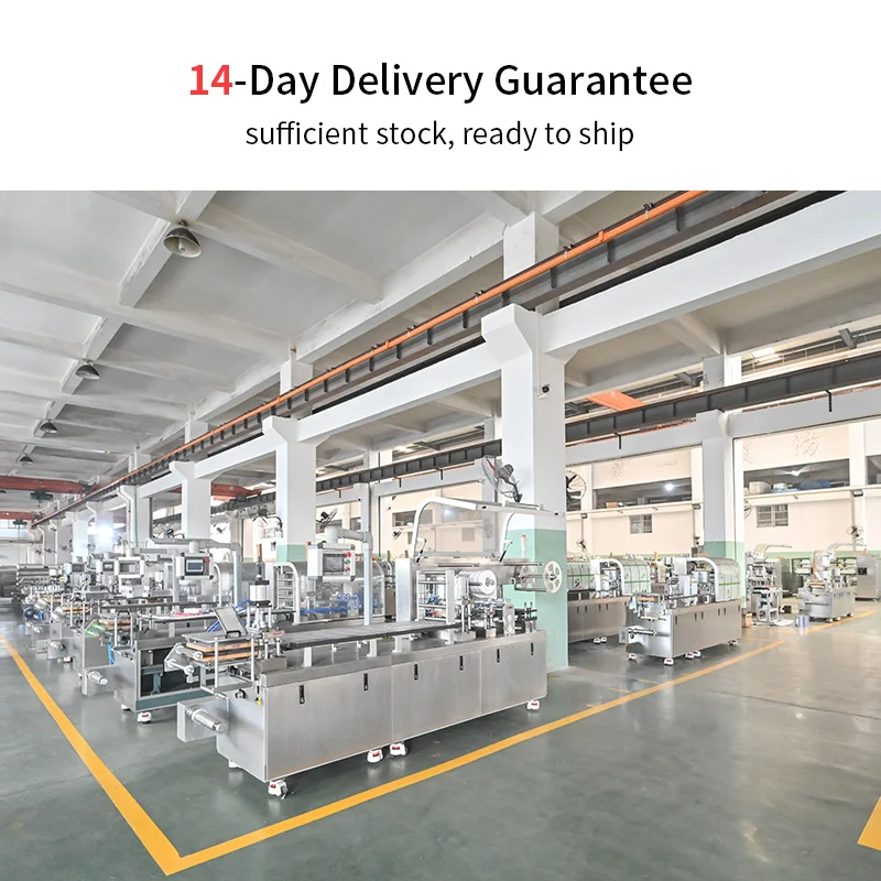DPP 260R Automatic Aluminum-Plastic Pharmaceutical Medical Soft Gel Capsule Tablet Pill Blister Packaging Machine