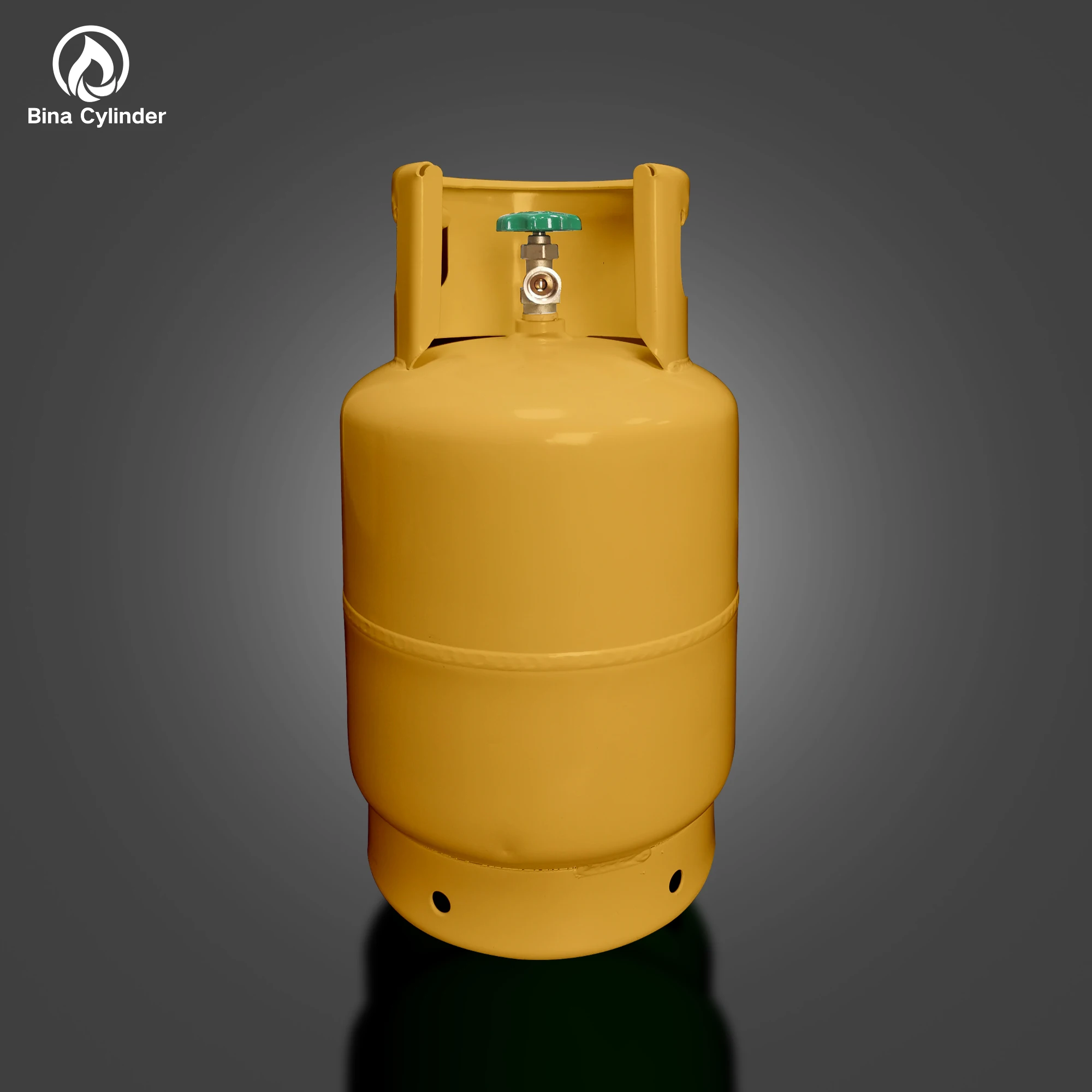 Bina Factory Portable Picnic Bottle Helium Gas Price