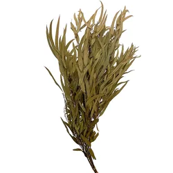 Boho Flower Arrangement  Dry Flower Eucalyptus Dried  leaves For Dried flower Bouquet