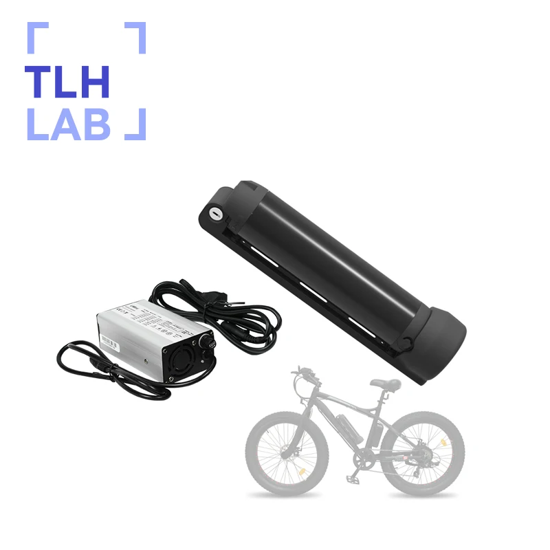 Replacement Rechargeable Lithium ion 250W 500W Electrical li-ion 48 36 Volt 24V 36V Electric Bicycle Bike Ebike Battery