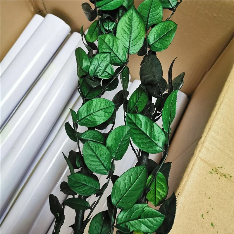 Best quality preserved rose stem 70cm long lasting rose stem real rose stem wholesale