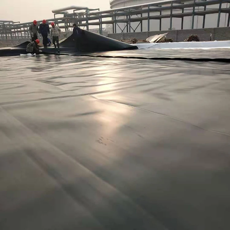 HDPE Geomembrane Aquaculture Geomembrane Polymer sheet Geomembrane