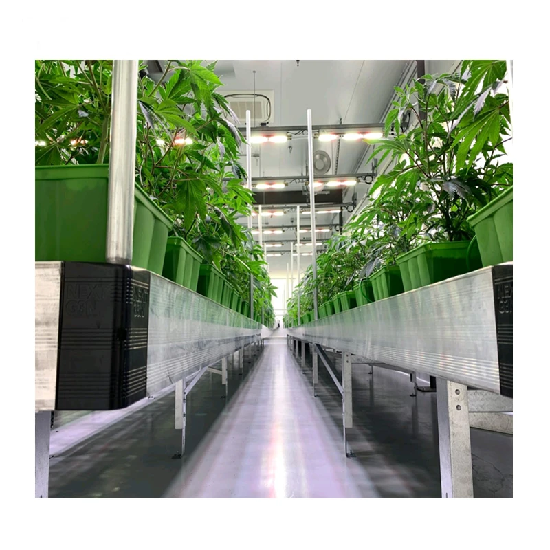 Hydroponics Greenhouse Movable Ebb and Flow Tray Rolling Bench Plants Grow Table for Microgreens/Lettuce/Herbs/Vegetable