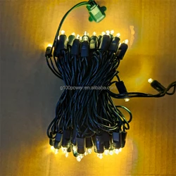 Commercial 50 5MM Warm White LED Christmas Lights Set