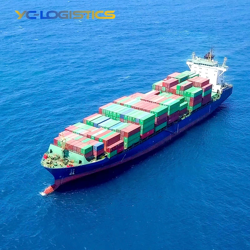 sea freight service from china to germany door to door freight forwarder to belgium