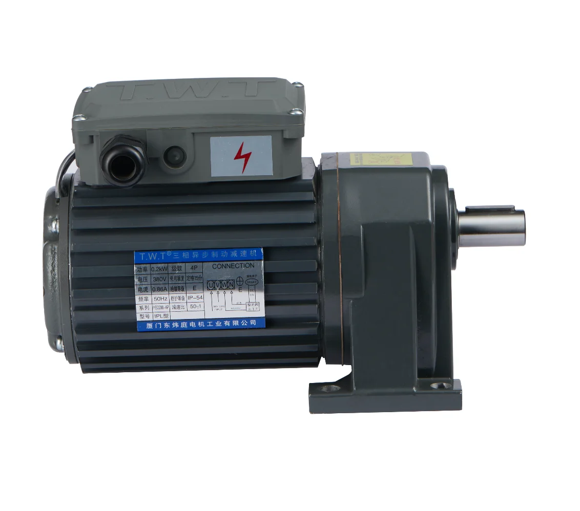 high torque low rpm vertical manufacturer 200w electric small 3 phase ac induction electric motor