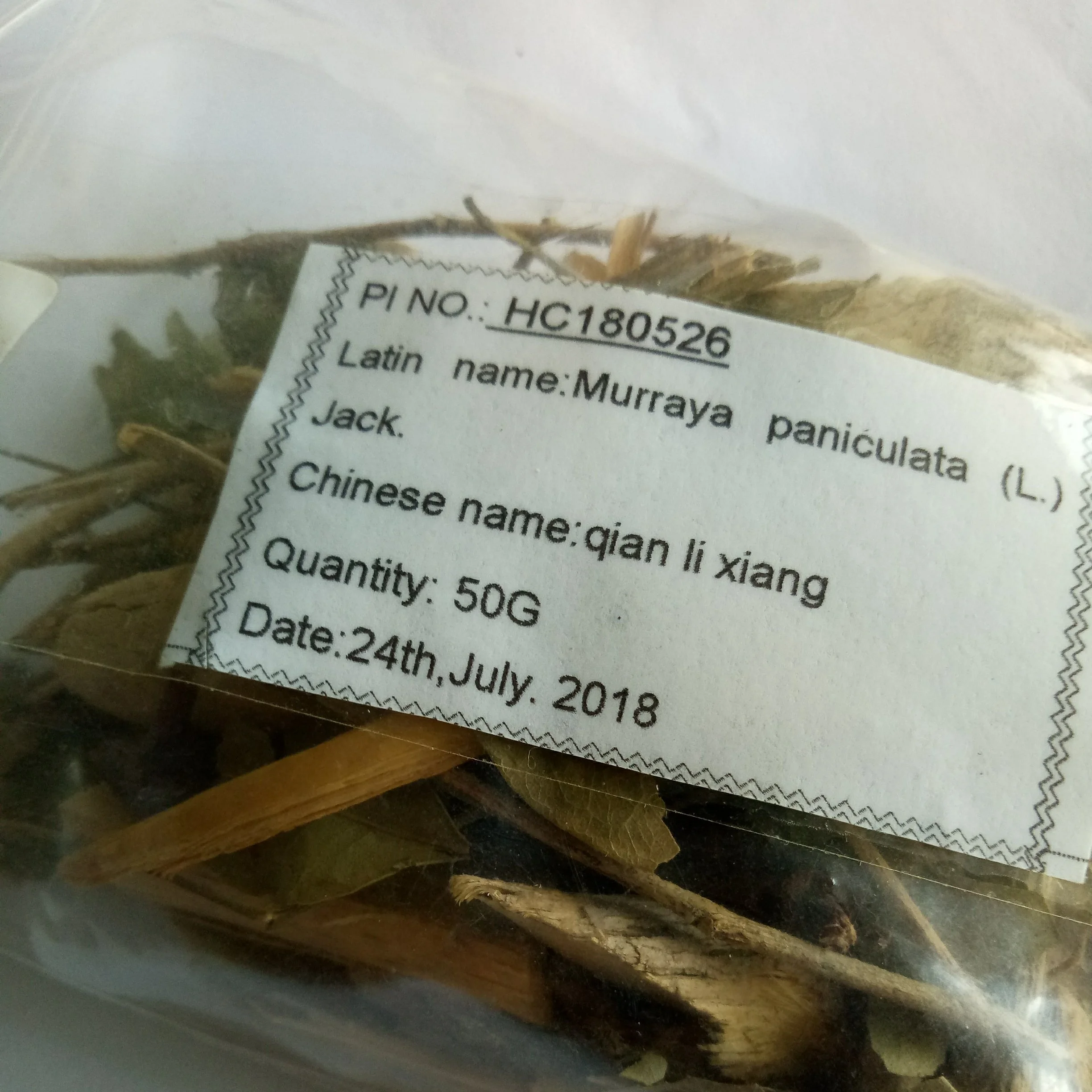 Dried wild herb new dried Dwarf mock Orange Jasmine Murraya exotica stems and leaves for sale